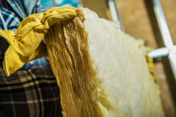 Best Insulation Maintenance and Repair in West Park, FL